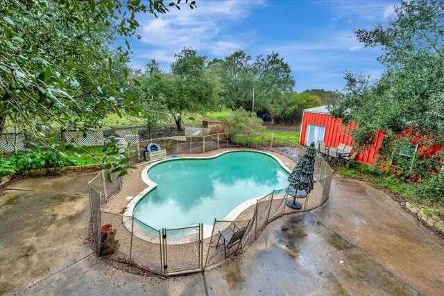 7027 Iowa Colony Blvd, Rosharon, TX 77583 - view of swimming pool featuring a patio and view of wooded area