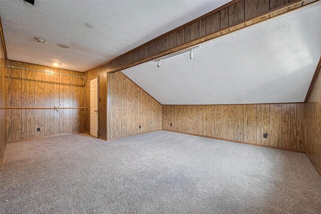 10315 Sun City Ct, Houston, TX 77099 - additional living space with a textured ceiling, wooden walls, carpet, and baseboards