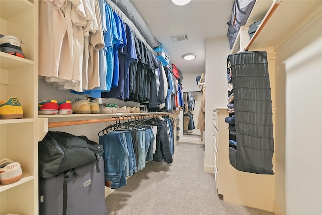 8715 Meadowcroft Dr Unit 1002, Houston, TX 77063 - spacious closet with carpet