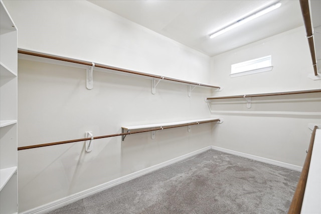 11127 Salento Ct, Richmond, TX 77406 - spacious closet with carpet floors