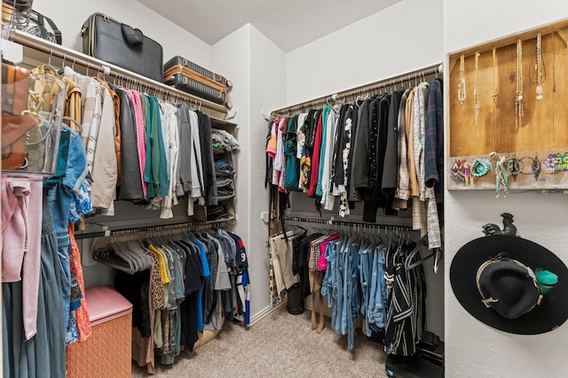 spacious closet featuring carpet floors