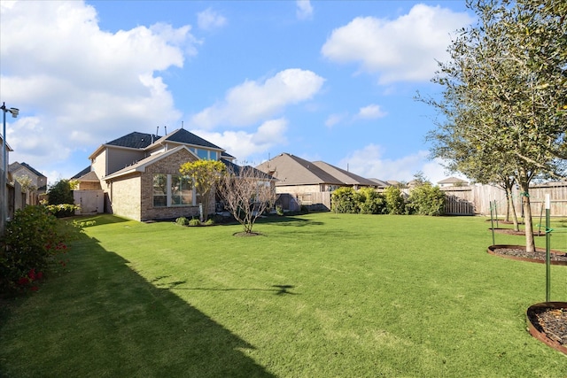 809 Stella Vista Ct, Katy, TX 77493 - view of yard