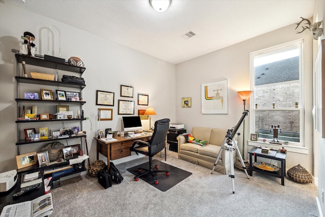 13234 James Terrace Ln, Houston, TX 77059 - view of carpeted office