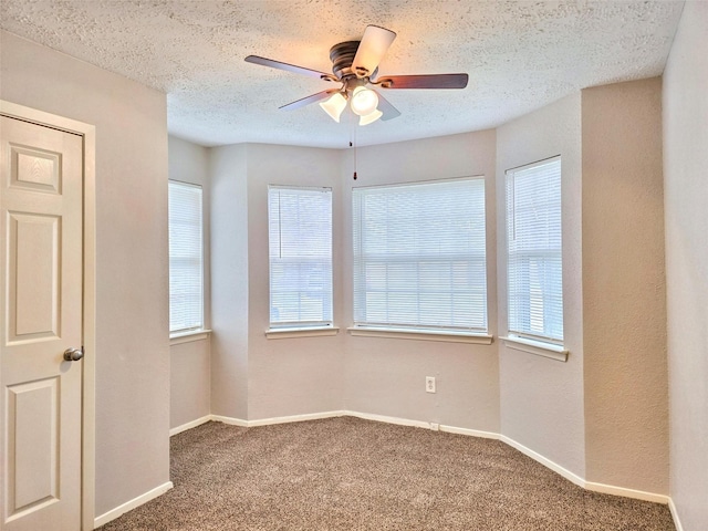 11019 Shadowfield Dr, Houston, TX 77064 - photo 15