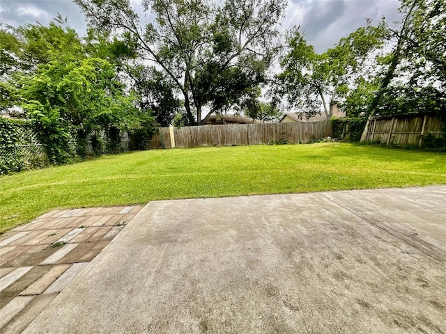 view of yard featuring a patio
