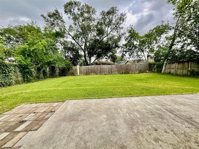 view of yard with a patio
