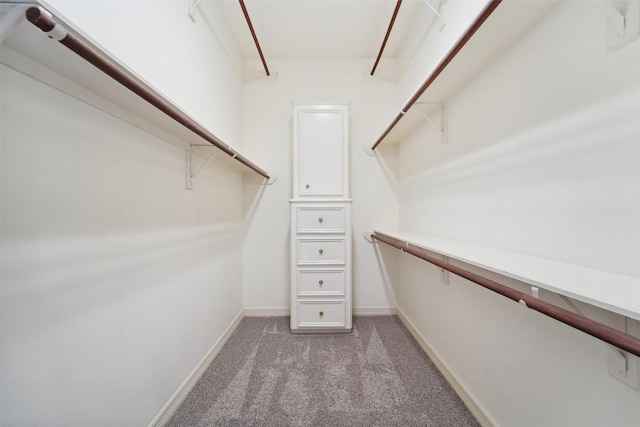 1706 Lofty Maple Trl, Houston, TX 77345 - spacious closet with light carpet