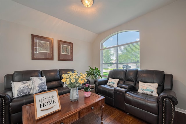 living room featuring wood finished floors and vaulted ceiling