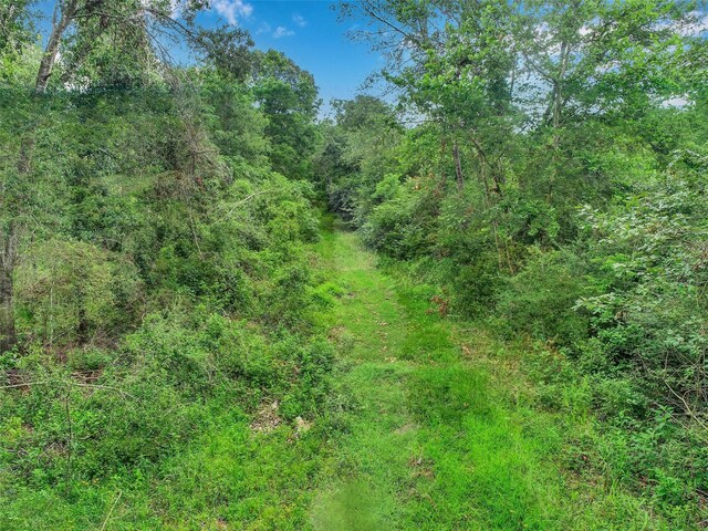352 Obannon Ranch Rd, Huntsville, TX 77320 - photo 22
