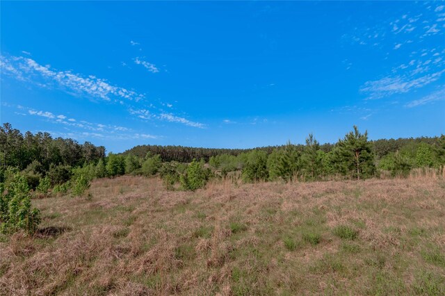 352 Obannon Ranch Rd, Huntsville, TX 77320 - photo 23