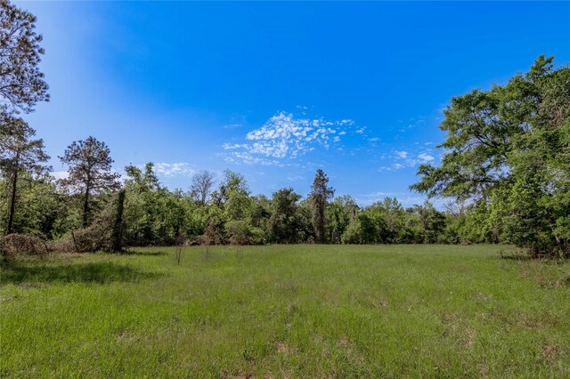 352 Obannon Ranch Rd, Huntsville, TX 77320 - photo 25