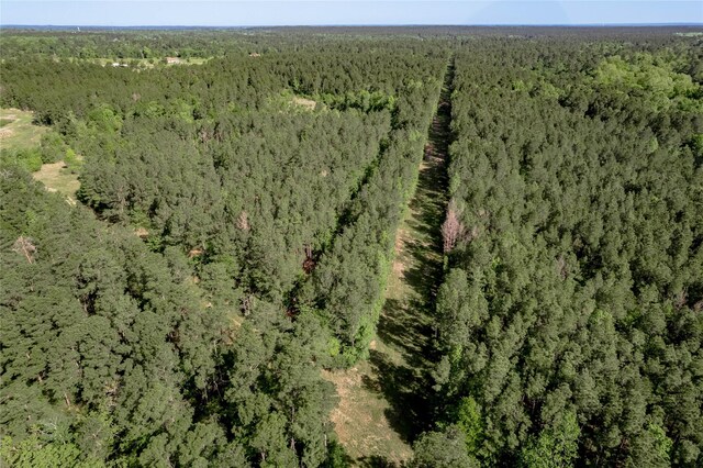 352 Obannon Ranch Rd, Huntsville, TX 77320 - photo 27