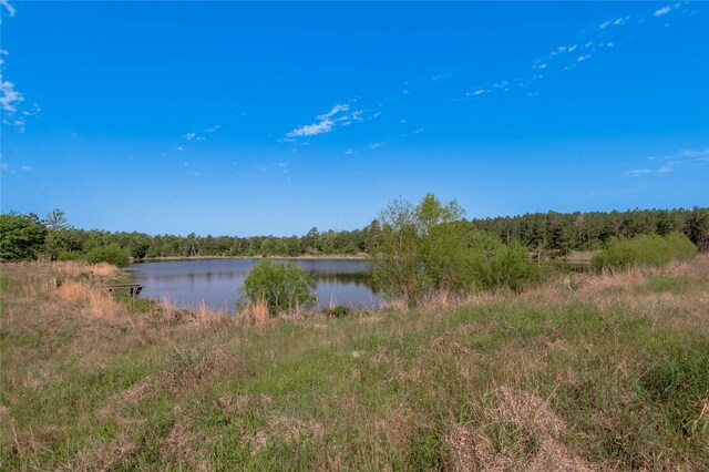 352 Obannon Ranch Rd, Huntsville, TX 77320 - photo 28