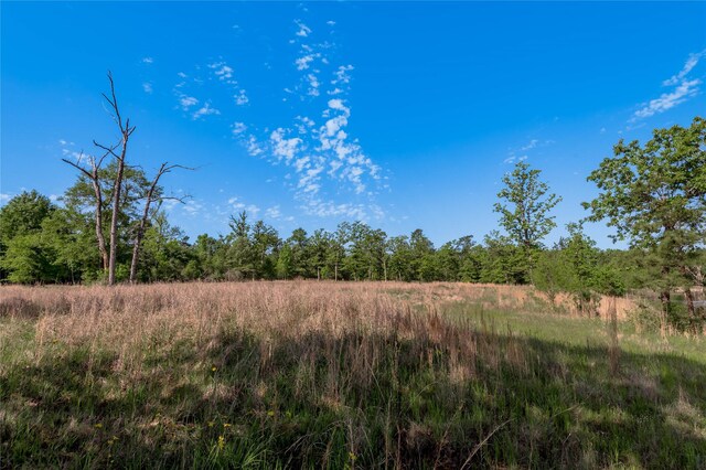 352 Obannon Ranch Rd, Huntsville, TX 77320 - photo 29