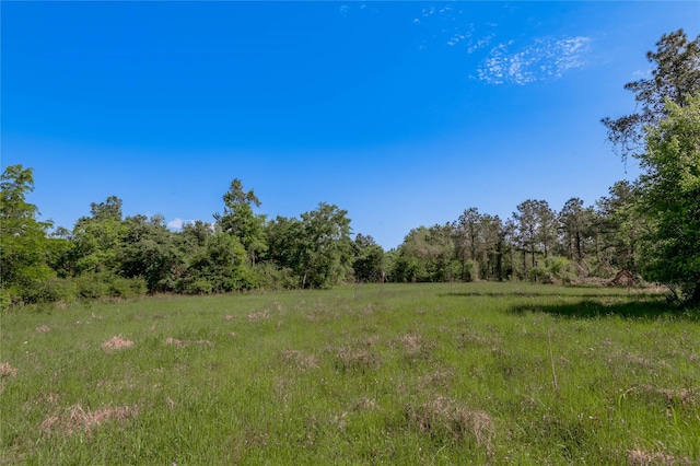 352 Obannon Ranch Rd, Huntsville, TX 77320 - photo 30