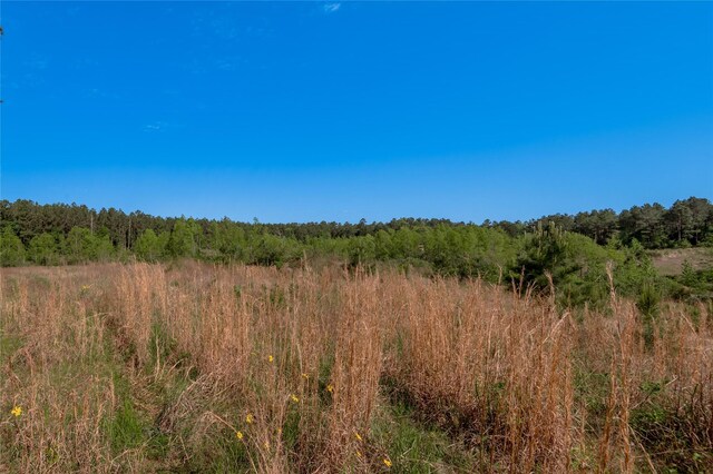 352 Obannon Ranch Rd, Huntsville, TX 77320 - photo 31