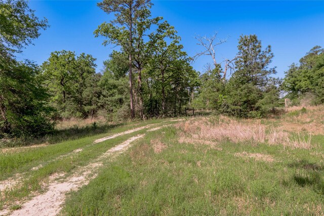 352 Obannon Ranch Rd, Huntsville, TX 77320 - photo 39