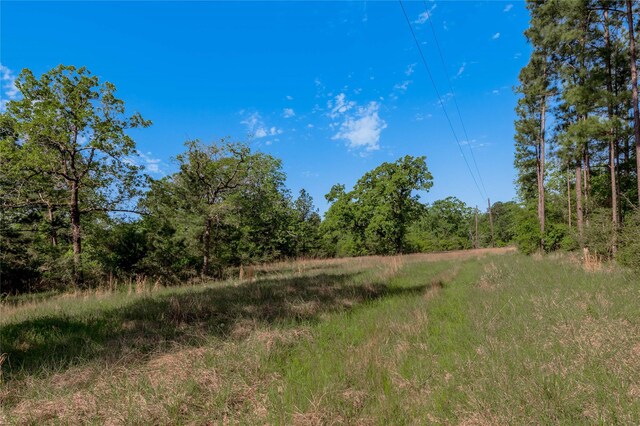 352 Obannon Ranch Rd, Huntsville, TX 77320 - photo 32
