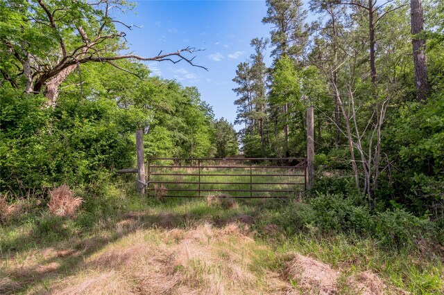 352 Obannon Ranch Rd, Huntsville, TX 77320 - photo 14