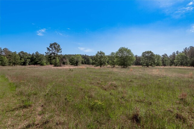 352 Obannon Ranch Rd, Huntsville, TX 77320 - photo 45