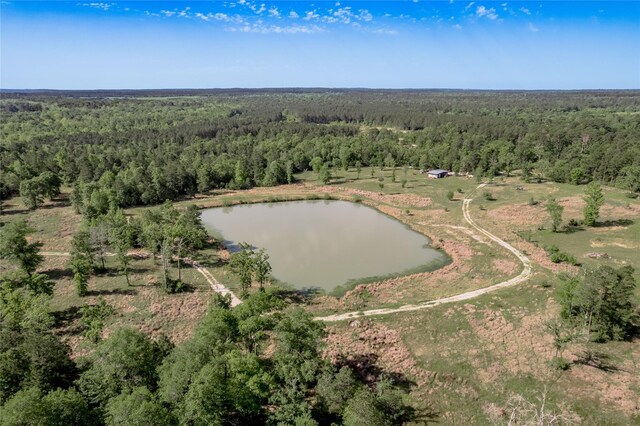 352 Obannon Ranch Rd, Huntsville, TX 77320 - photo 6
