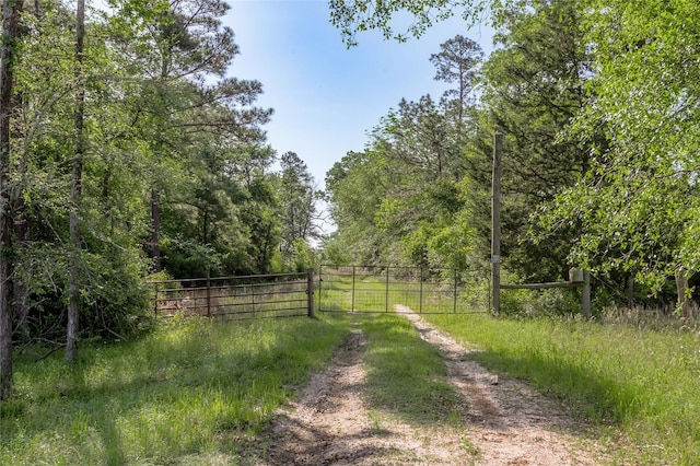 352 Obannon Ranch Rd, Huntsville, TX 77320 - photo 13