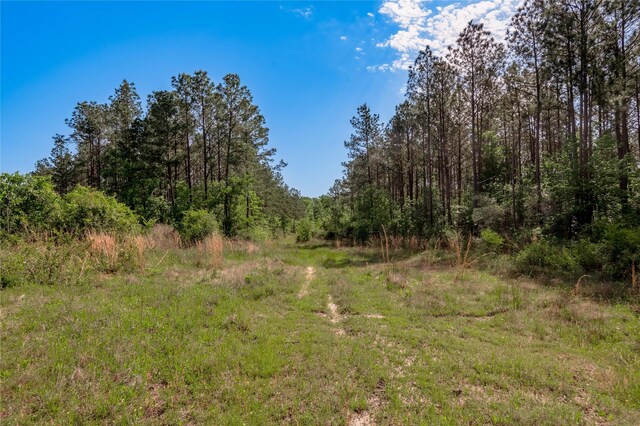 352 Obannon Ranch Rd, Huntsville, TX 77320 - photo 40