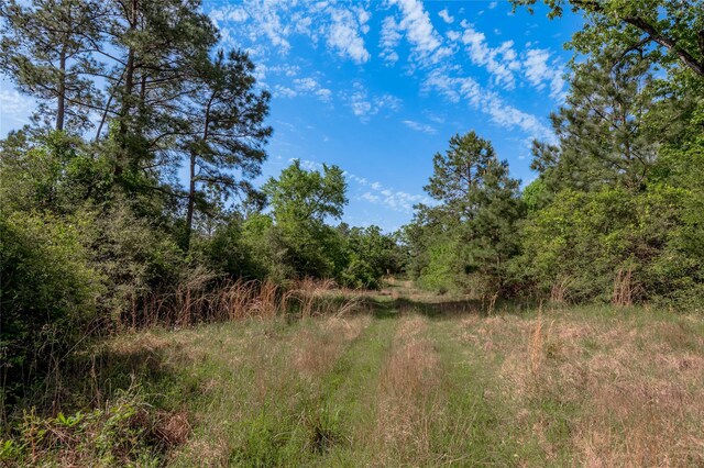 352 Obannon Ranch Rd, Huntsville, TX 77320 - photo 41
