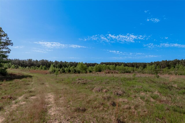 352 Obannon Ranch Rd, Huntsville, TX 77320 - photo 42