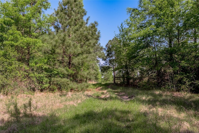 352 Obannon Ranch Rd, Huntsville, TX 77320 - photo 44