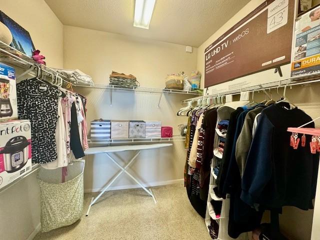 walk in closet featuring carpet floors
