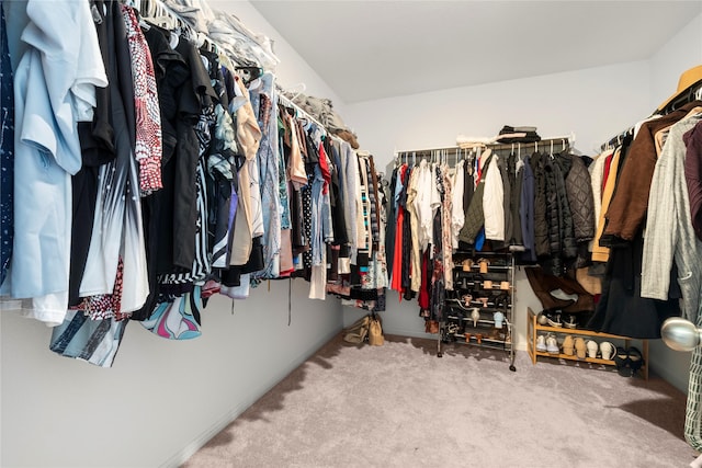 247 Pine Cavern Dr, Willis, TX 77378 - walk in closet featuring carpet flooring