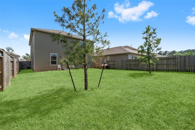 247 Pine Cavern Dr, Willis, TX 77378 - view of yard