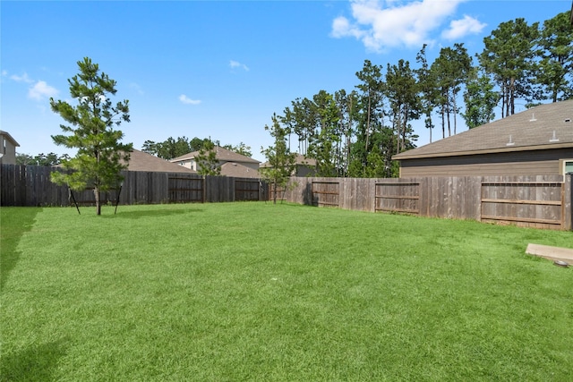 247 Pine Cavern Dr, Willis, TX 77378 - view of yard