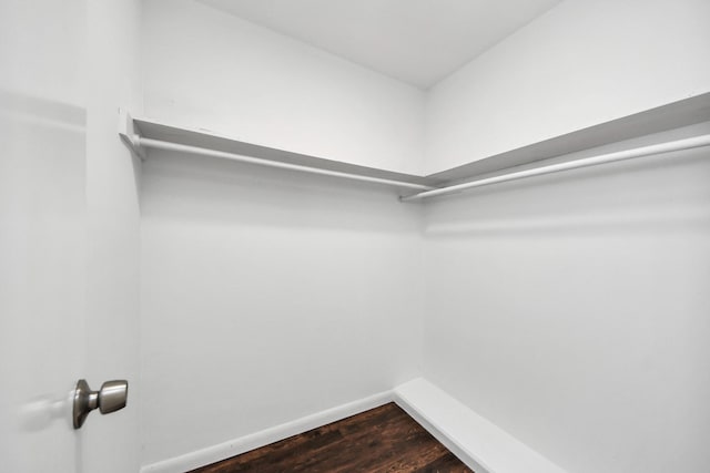 2257 County Road 206, Alvin, TX 77511 - walk in closet featuring dark wood-style flooring