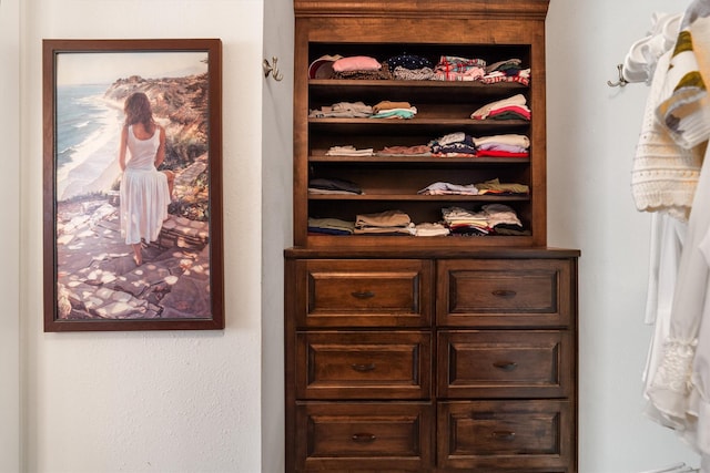 104 Smith Ln, League City, TX 77573 - view of walk in closet