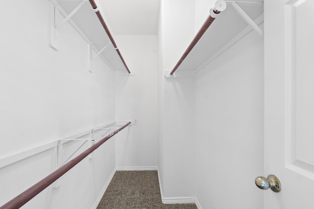 21214 Peachvine Ln, Tomball, TX 77375 - spacious closet featuring dark colored carpet