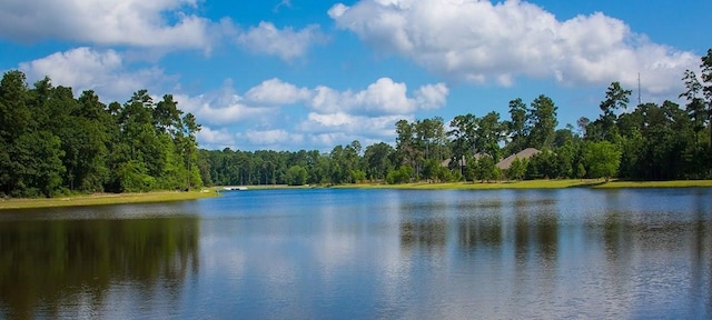 907 Falcon Hollow Ln, Pinehurst, TX 77362 - water view featuring a forest