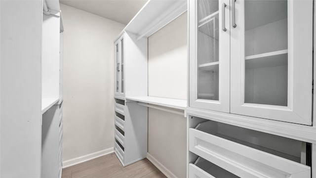 9210 Linkmeadow Ln, Houston, TX 77025 - spacious closet with light wood-style floors
