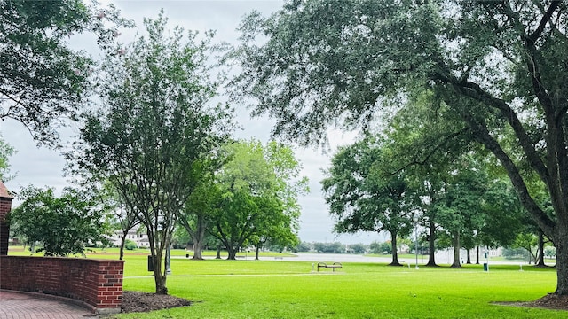 view of community featuring a lawn