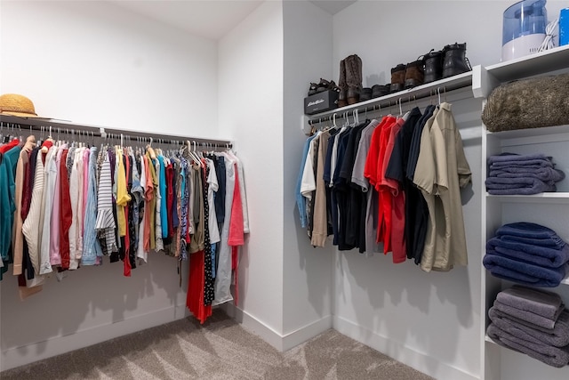 walk in closet with carpet floors