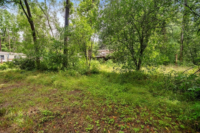 18763 Woodland Forest Dr, Conroe, TX 77306