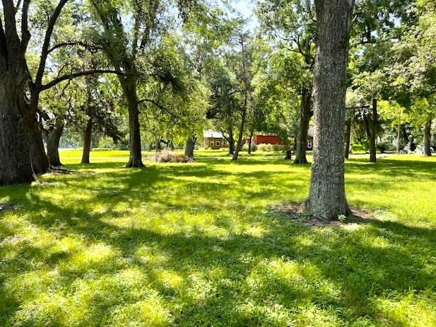 0 Gresham St, Wallis, TX 77485 - photo 1