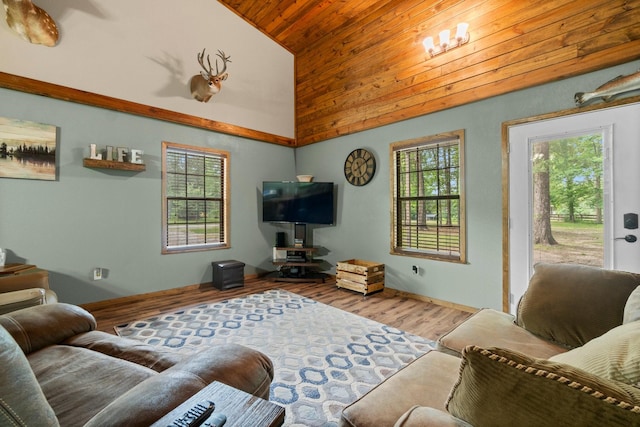 51 Roatan Dr, Point Blank, TX 77364 - living room with wooden ceiling, high vaulted ceiling, and wood finished floors