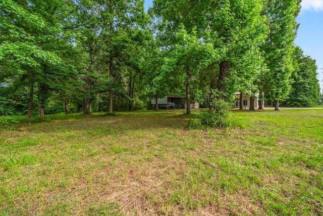 51 Roatan Dr, Point Blank, TX 77364 - view of grassy yard