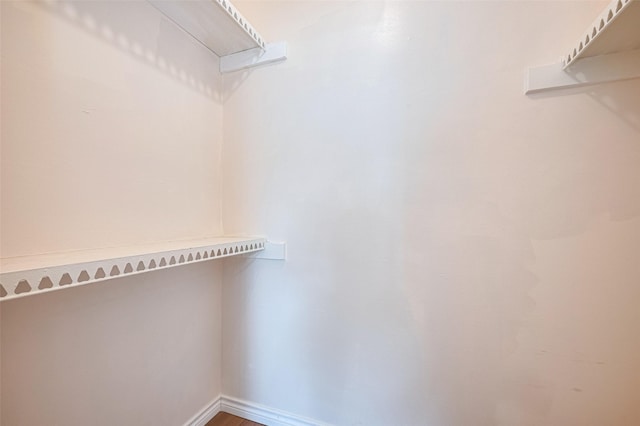13040 Trail Hollow Dr Unit 3040, Houston, TX 77079 - view of spacious closet
