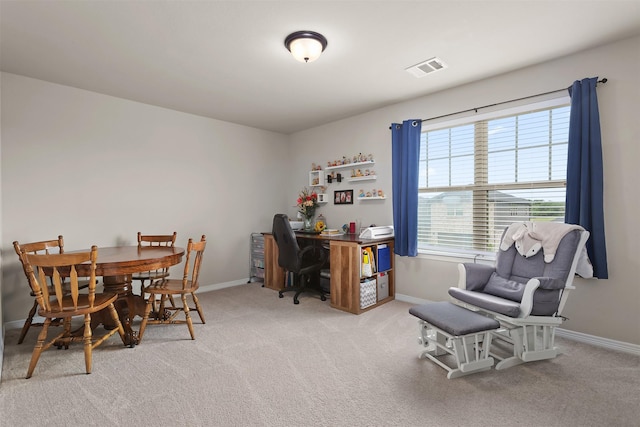 183 Lucky Manor Ln, La Porte, TX 77571 - home office featuring baseboards and light colored carpet