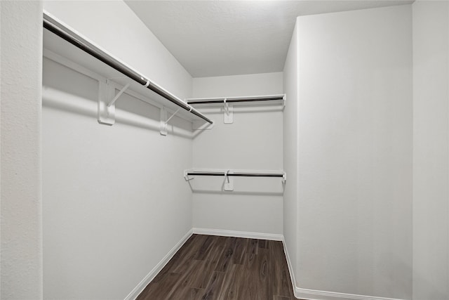 walk in closet featuring dark wood-style flooring