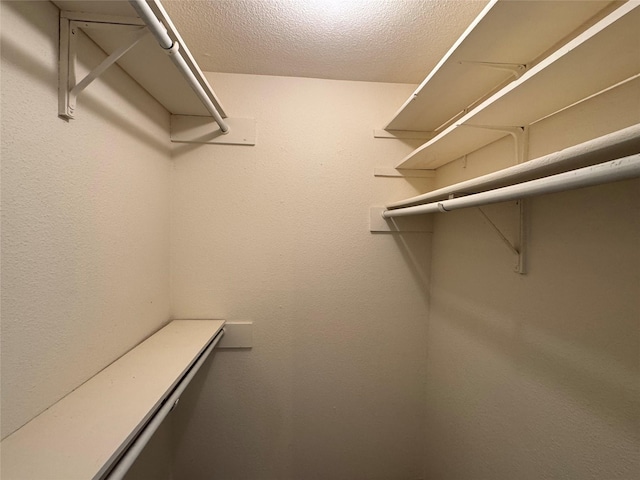 7400 Bellerive Dr Unit 1004, Houston, TX 77036 - view of spacious closet