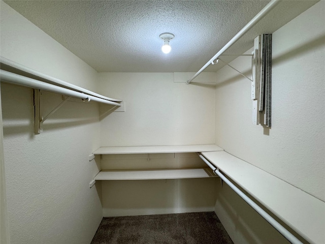 7400 Bellerive Dr Unit 1004, Houston, TX 77036 - walk in closet featuring dark colored carpet